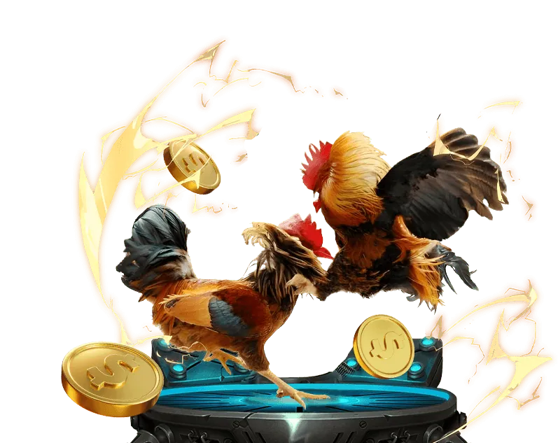 Cá cược bóng chuyền 999bet